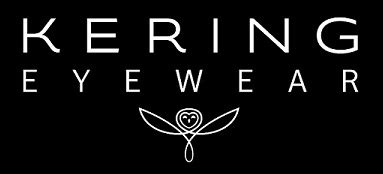 who owns the kering group|who owns kering eyewear.